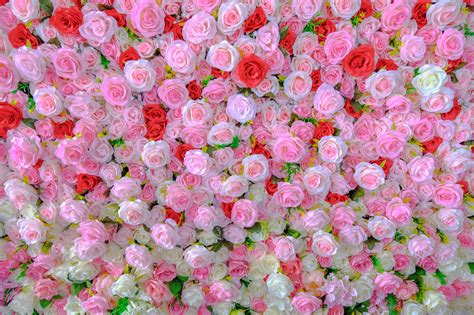 Обои розы цветочный фон цветочная композиция бесплатные картинки на