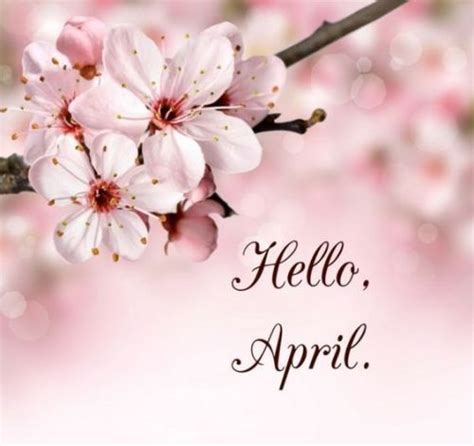 Pin By Maritere Figueroa On ♥ ѕprιng ♥ Hello April April