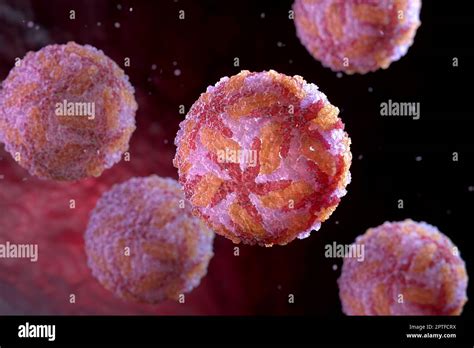 Powassan Virus Particlesthis Virus Is A Human Pathogen That Is