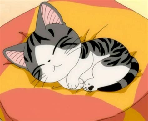 World Of Chi Gato Anime Anime Cat Manga Anime Chi Le Chat Chis