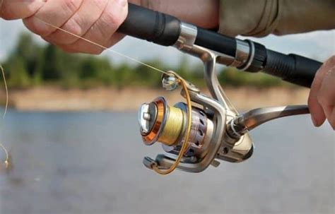 Best Fishing Line For Spinning Reels Ultimate Guide On