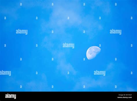 Full Moon In Daylight On The Bright Sky Stock Photo Alamy