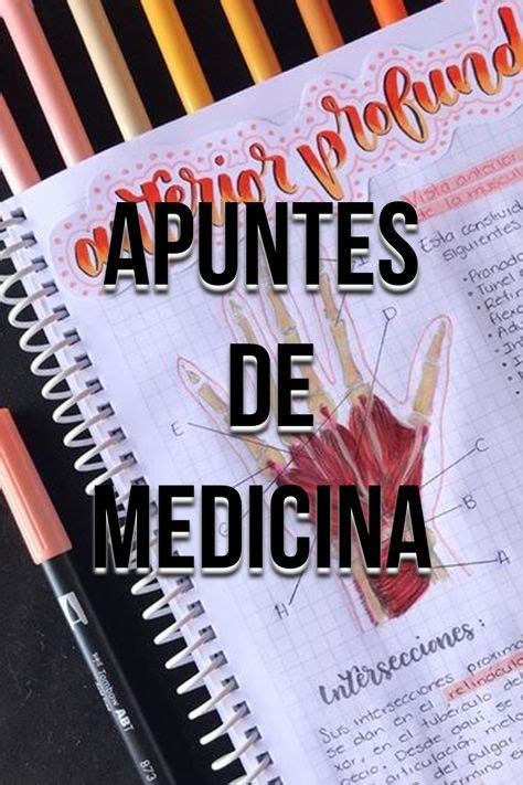 Pin En Apuntes De Medicina ️