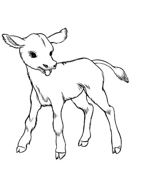 Critique paper (sample) mei 16, 2021. Just Born Baby Cow Coloring Page : Kids Play Color (With ...