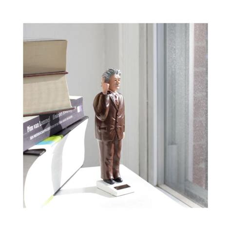 Figurine Solaire Einstein Kikkerland à Prix Carrefour