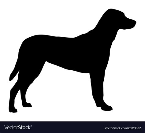 Silhouette Of A Standing Dog Royalty Free Vector Image