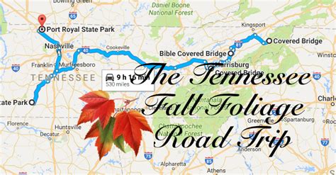 Take This Gorgeous Fall Foliage Road Trip To See Tennessee Like Never