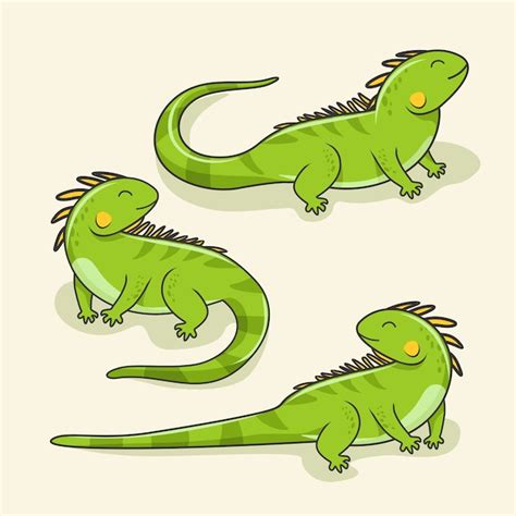Iguana Cartoon Cute Lizard Animal Reptile Set Vector Premium