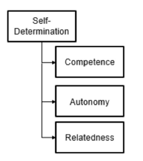 Self Determination Theory Deci And Ryan 2000 Download Scientific