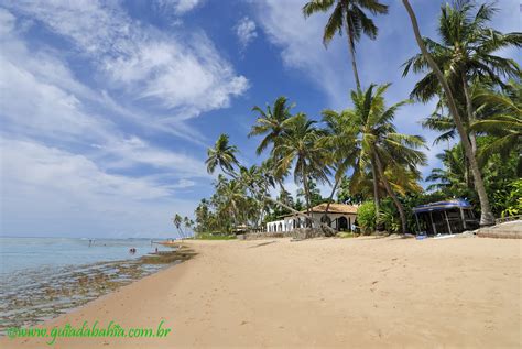 fotos da praia do forte mata de são joão costa dos coqueiros bahia
