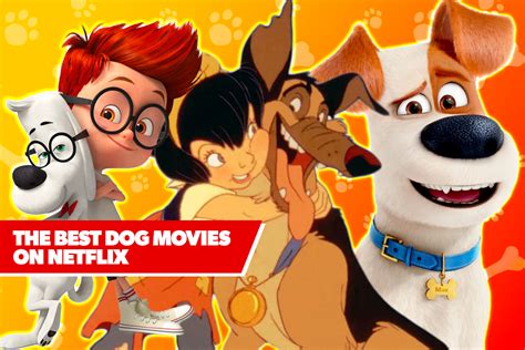 Happy National Dog Day Best Dog Movies On Netflix
