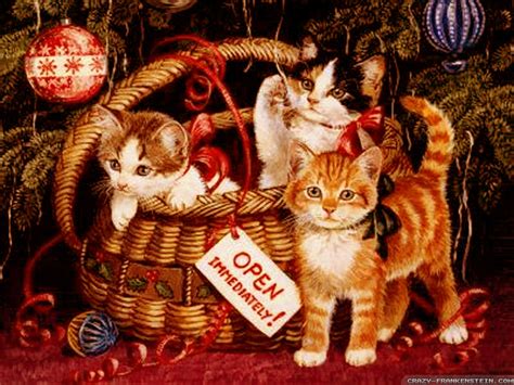 Christmas Kittens In Basket Cats Wallpaper 36711831 Fanpop