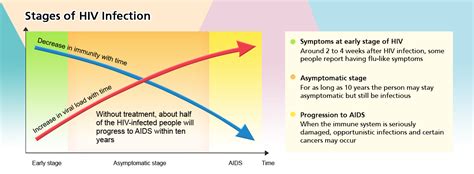 Hk Stages Of Hiv Infection