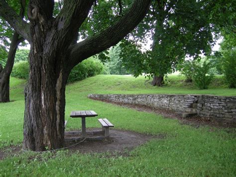 Tree Picnic Table And Stone Wall In Nw Corner Macdonald Gardens