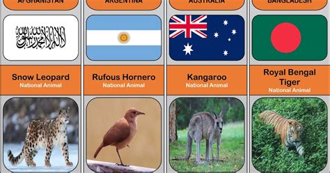 National Animals From Around The World Best Right Way