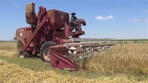 Mccormick International Harvester 151 Combine In Haxtun Colorado Youtube