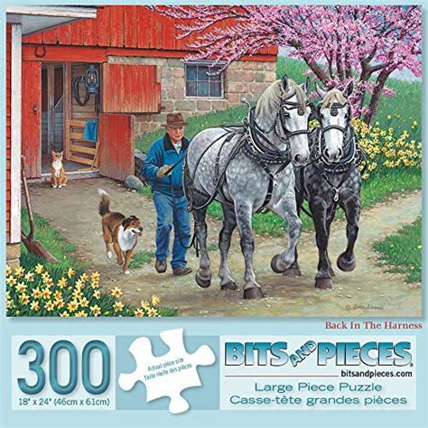 Bits And Pieces 300 Piece Jigsaw Puzzle For Adults 18 X 24 Back