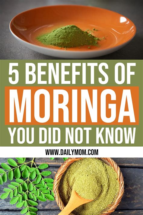 5 Benefits Of Moringa To Know That Will Improve Your Health