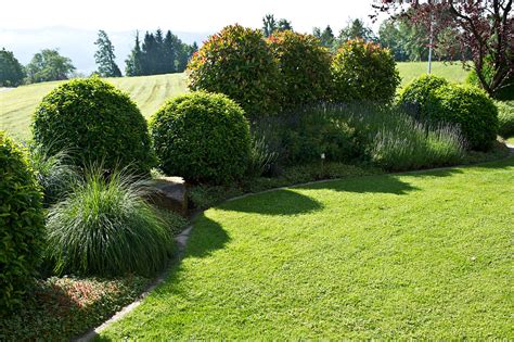 Weitere ideen zu garten, gartengestaltung ideen, gartenprojekte. Raffiniert abgeschirmt mit sanftem Sichtschutz | Arnold ...