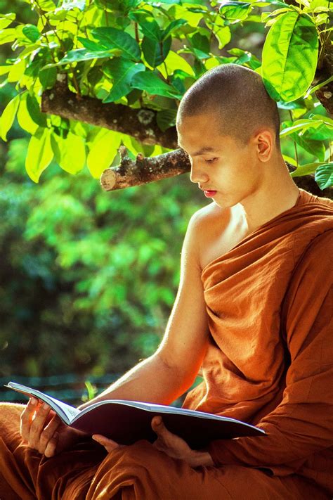 Theravada Mönch Buddhistische Kostenloses Foto Auf Pixabay