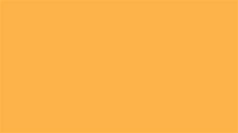 Pastel Orange Solid Color Background 1000 Free Download Vector Image