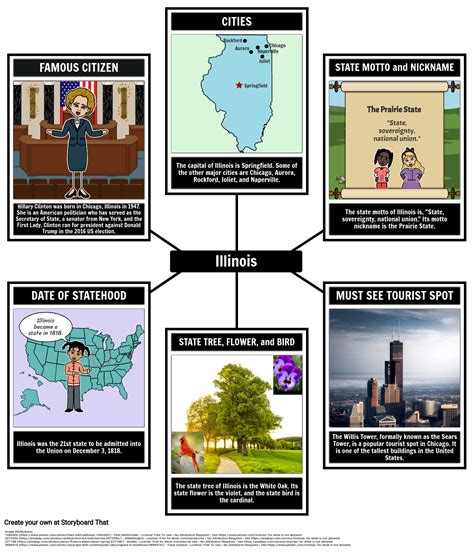 Facts About Illinois Spider Map Storyboard By Lauren