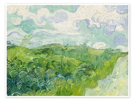 Green Wheat Fields 1890 Print By Vincent Van Gogh Posterlounge