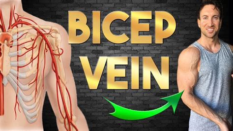 How To Get The Bicep Vein Part 2 24 Hour Vascular Arms Youtube