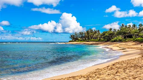Hawaii States Real Estate Market Report Q4 2021 Hawaii Real Estate