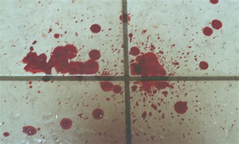 Maybe you would like to learn more about one of these? all my blood on the floor | after i stepped on glass. I ...