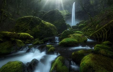 Обои ручей камни водопад мох Орегон Oregon Columbia River Gorge
