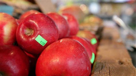 6 Oregon Apples Beyond The Honeycrisp
