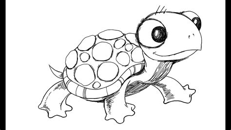 How To Draw Cartoon Turtle Youtube