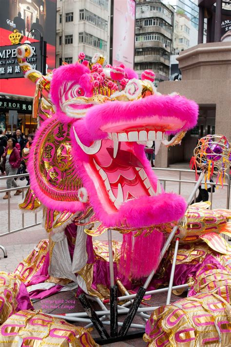 resting-dragon,-hong-kong-chinese-new-year-chinese-new-year-parade,-chinese-festival,-chinese