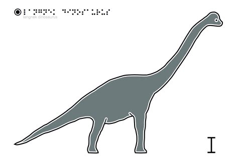 Dinosaurus projecten drawing lessons stap voor stap tekenen dieren dibujo kunstwerkjes leer tekenen activiteiten voor kinderen. Tactiele Tekeningen - Dinosaurus - Langnek