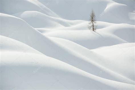 Beautiful Snow Covered Hills With Pine Tree Winter Landscape — Stock