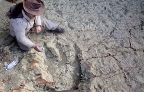 Bolivie D Couverte Dune Empreinte De Dinosaure De M Tre De Long African Manager