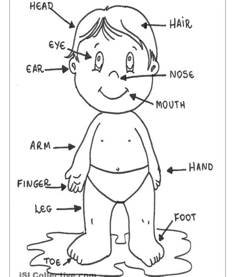 Parts Of The Body Coloring Pages For Preschool – Learning How to Read