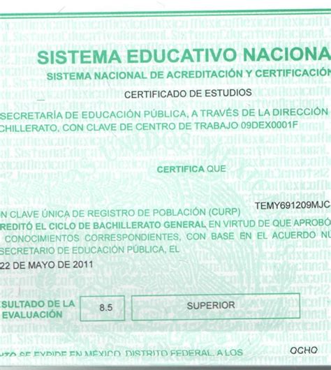 Detectan Certificados De Bachillerato Falsos En La Uaslp El Heraldo