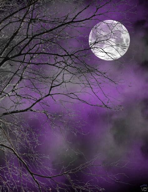 Pin By Canelafina 123 On Colors Purple Sky Sky Moon Moonlit Sky