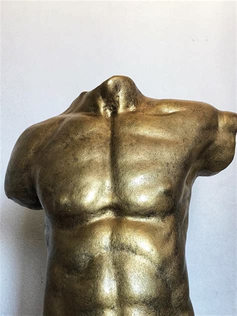 Large Naked Torso Statue Apollo The Golden God Etsy