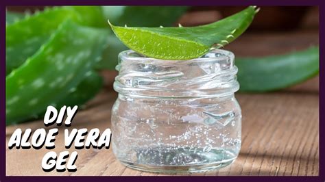 How To Make Aloe Vera Gel At Home Homemade Natural Aloe Vera Gel