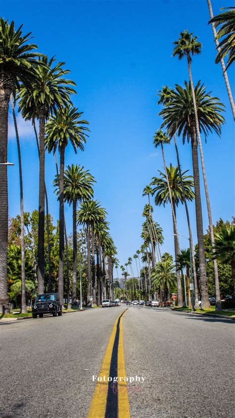beverly hills road los angeles usa los angeles beverly hills california palm trees