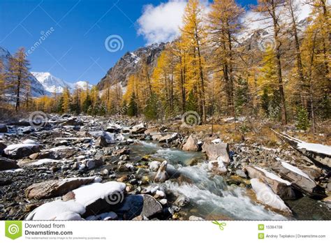 Aktru River Stock Photo Image Of Ecology Hike Alpine 15384708