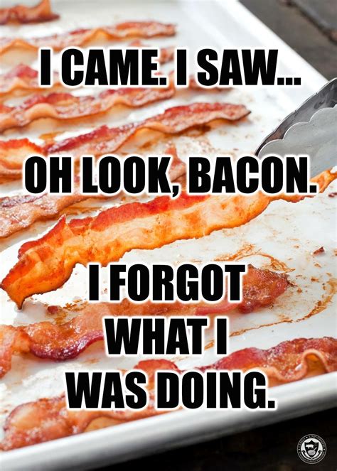 Bacon Memes Bacon Funny Bacon Toothpaste Funny Encouragement Bacon
