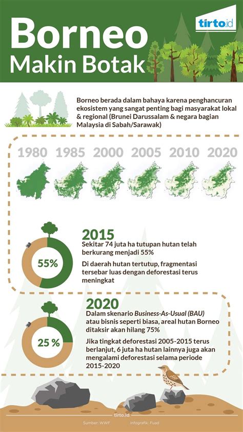 Hutan Borneo Yang Makin Botak