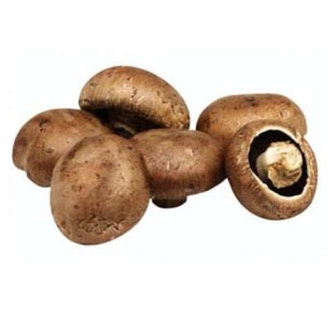 Swiss Brown Mushroom