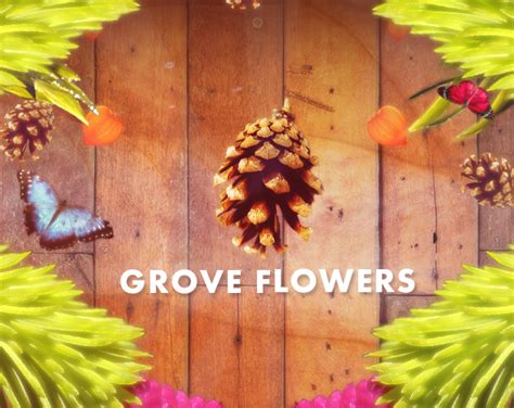 Grove Flowers Arkanoid Release Announcements