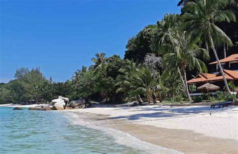 There are about 12 dive sites around pulau lang tengah and together with nearby pulau redang, pulau perhentian and pulau bidong, there are more than 30 dive sites for divers: D' Coconut Lagoon Resort - aosclick
