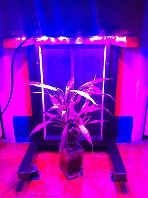 10 Diy Led Grow Lights For Growing Plants Indoors Home And Gardening